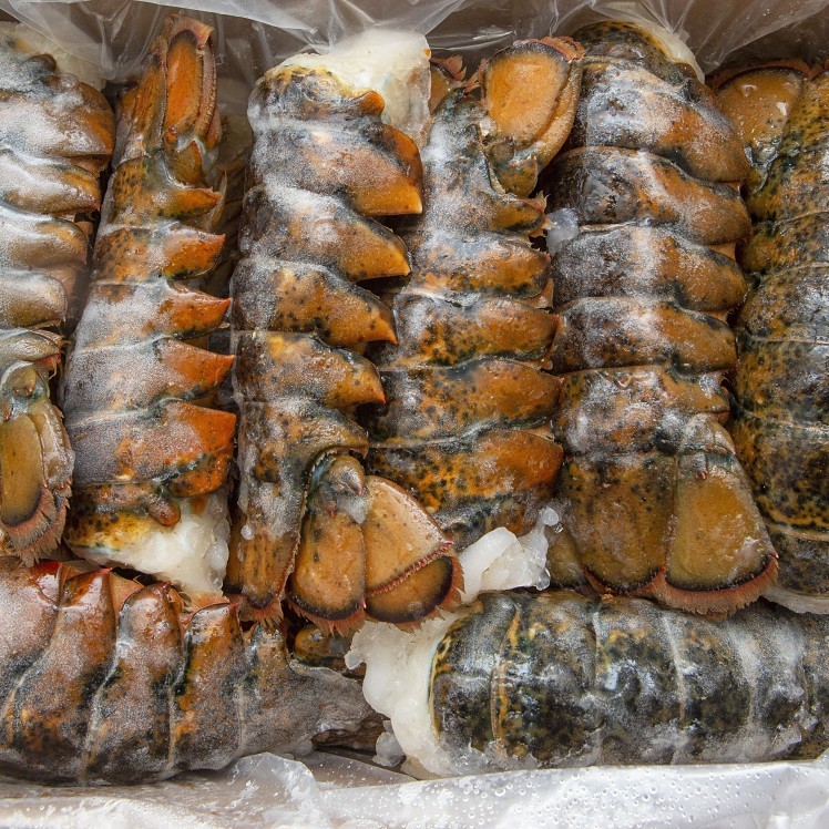 OYSTER BAY NORTH AMERICAN LOBSTER TAILS 4 OZ